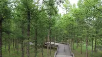 再探敖汉温泉城