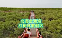 北海金海湾红树林生态旅游区旅游攻略
