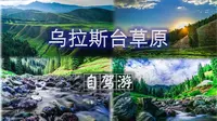 乌拉斯台草原短途自驾游Vlog-新疆天山-乌苏巴音沟牧场