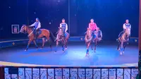 深圳野生动物园马戏团表演