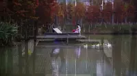 【景观案例分享】宜昌运河公园