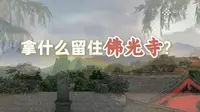 为一座寺，让路、改道，如今又立法：1100年前的目光，我们接住了佛光寺