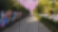 耕读秀美景区