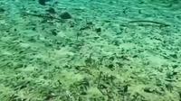 九寨沟爱情海景区