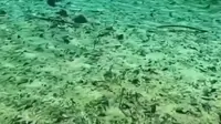 九寨沟爱情海景区