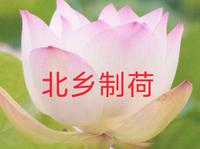 【合肥北乡双河景区】新作上线，快来看看！