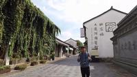 杭州世界遗产点，桥西历史街区，杭州特色的古镇
