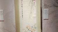 淮安市博物馆明清书画展，有李鸿章，康有为，扬州八怪等真迹，有兴趣的可以看看  