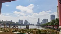广州海心沙广场花海