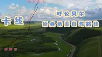 为什么来呼伦贝尔要走卡线？200公里的边境小路，让人舍不得眨眼
