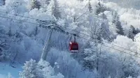 为什么说北大湖滑雪场可能会成为国内最棒的滑雪度假区～心动的话就赶紧来吧～