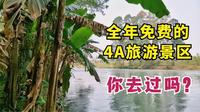 成都附近的4A级旅游景区斑竹林，全年免门票，却很多人都不知道！