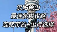 武汉龟山赏樱攻略来了！
