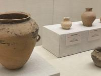 2026年“5・18 国际博物馆日”南宁市主会场活动启幕，青海彩陶艺术文物展在南宁博物馆展出。