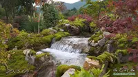 探访丽江文海云野花园【小时间，大园艺】