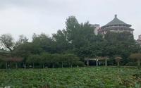 台北植物園#假日好去處  #景點  #打卡地標 #台北植物園 #生態 #保育 #古蹟 #大自然