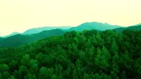 【小萌游记】十一期间_北京喇叭沟门原始森林公园一日游