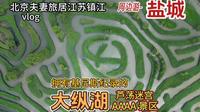 北京琪哥夫妻专程带无人机来看盐城大纵湖的美景，还有大片马鞭草