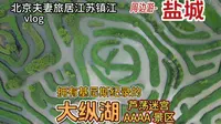 北京琪哥夫妻专程带无人机来看盐城大纵湖的美景，还有大片马鞭草