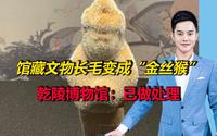 馆藏文物长毛变成“金丝猴”？乾陵博物馆：确有其事，已做处理