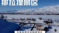 冬季的那拉提景区门票免费 开车进去随便溜达 这雪景太治愈了