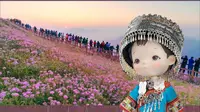 毕节韭菜坪花期到|2777米的花海日出夯爆了