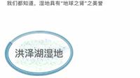 洪泽湖湿地小科普