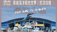 【攻略】【德州齐河县】泉城欧乐堡海洋极地世界攻略（1）
