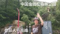 中国金钱松森林公园，浙江安吉游。视频配音，高峰。感谢支持！