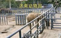全国十佳动物园，济南动物园，带大家参观