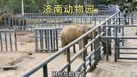 全国十佳动物园，济南动物园，带大家参观