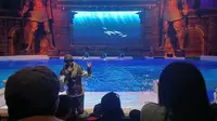 波塞冬海底世界海豚表演