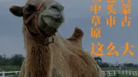 你知道包头的市中心居然有一片大草原么？它叫赛汗塔拉城中草原并且它超酷！