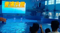 安阳海洋世界一日游