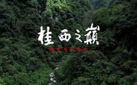 来到桂西之巅岑王老山，跟随护林员闯入原始森林，徒步溪水秘境。