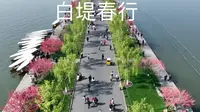 白堤春行