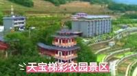 大地艺术·梯彩天宝，综合性农业旅游项目——安康天宝梯彩农园景区