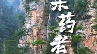 绝美景点推荐｜张家界国家森林公园十里画廊采药老人：采药老人应解语，当年何术慰苍生。#三千奇峰 #张家界国家森林公园 #武陵源 #绝美景点推荐#张家界