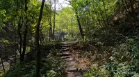 纯享版十堰市张湾区百龙潭风景区，只收停车费不收门票的大自然风光