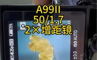 （番禺）南华珠宝矿物博物馆 美能达50/1.7变身百微