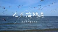 【潍坊欢乐海沙滩景区】视频加载中，速速查收惊喜！