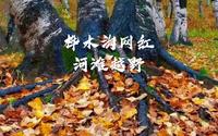 桦木沟网红河滩越野