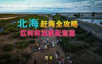 （北海赶海全攻略）红树林深度篇