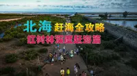 （北海赶海全攻略）红树林深度篇