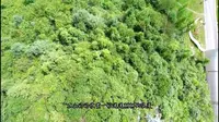 毕节彝山花谷，碧绿的山峦，蓝天白云，大自然给人们馈赠的最美礼物，构成了一幅青山绿水画卷。#贵州毕节