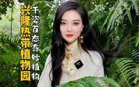 兴隆热带植物园奇奇怪怪植物大赏