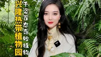 兴隆热带植物园奇奇怪怪植物大赏