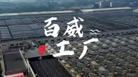 这里是世界啤酒霸主 百威啤酒全球最大生产基地 位于广东省佛山市三水区的水都基地，两广喝的百威基本上都来自这里，据说在这里工作一年以上的员工都会酒量大增