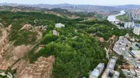 兰州徐家山森林公园