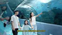 国庆好地方！合肥海洋世界国庆开放晚场
